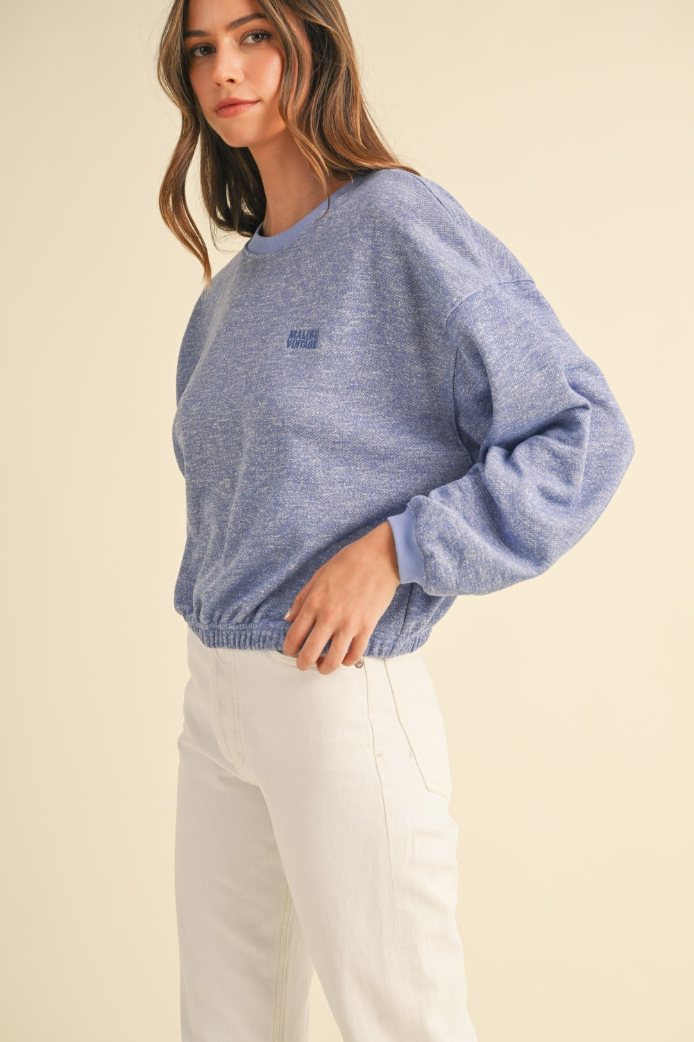 Malibu Vintage Sweatshirt - Blue Purple