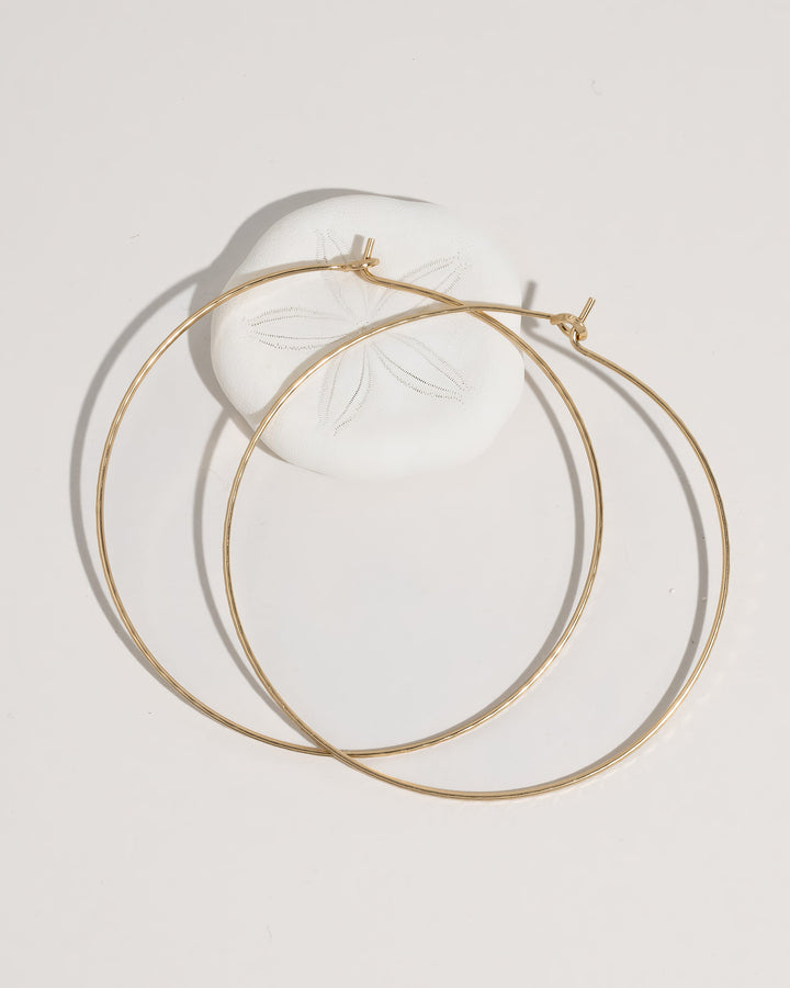 James Michelle: Hoop Earrings