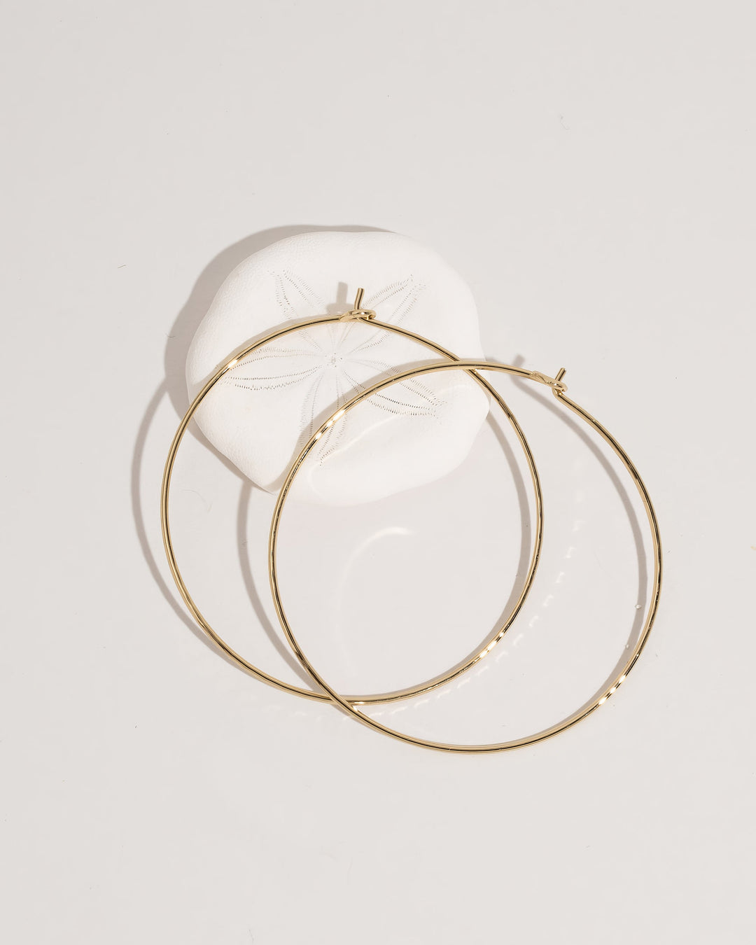 James Michelle: Hoop Earrings