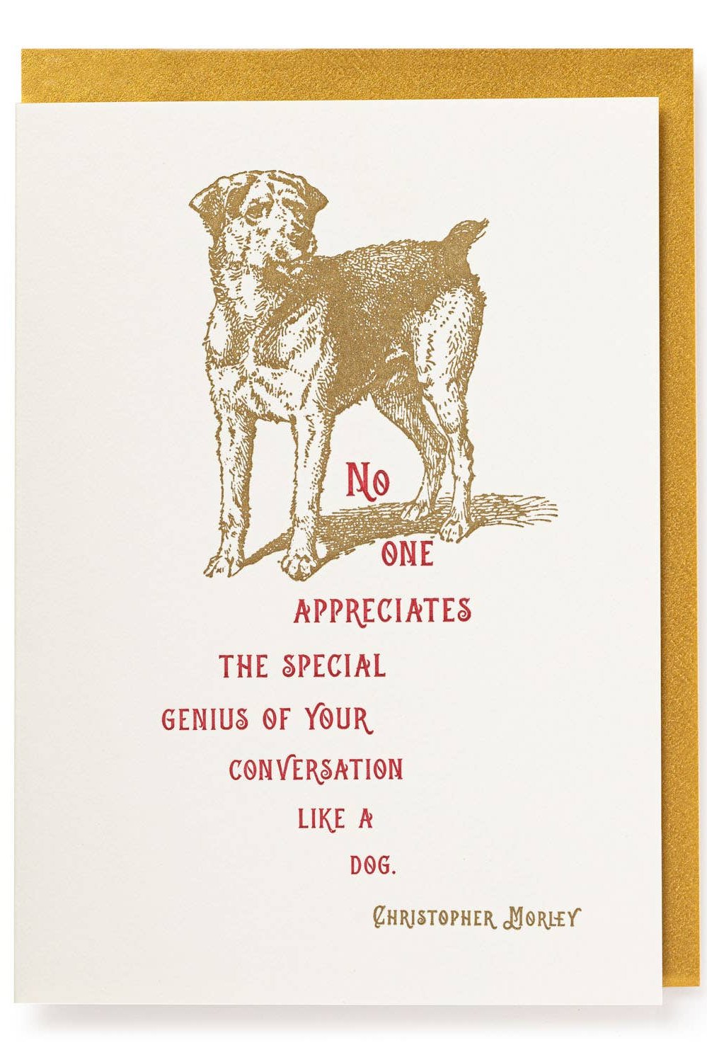 Special Genius Greeting Card